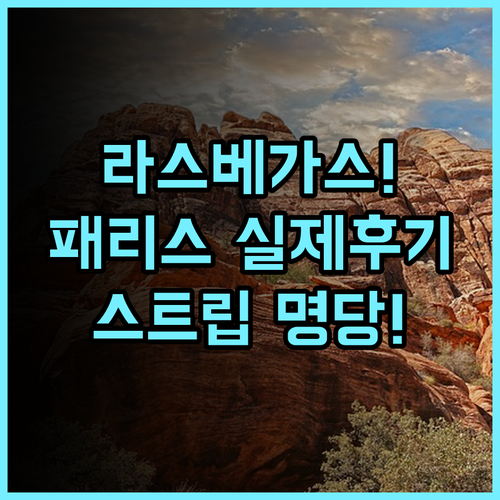 패리스 라스베이거스 호텔 앤 카지노 실제 이용후기 및 스트립 중심가 숙소 팁