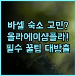 올라 에이샴플라 실제 이용후기 바르셀로나 숙소 팁 정리
