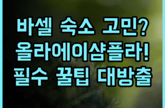 올라 에이샴플라 실제 이용후기 바르셀로나 숙소 팁 정리