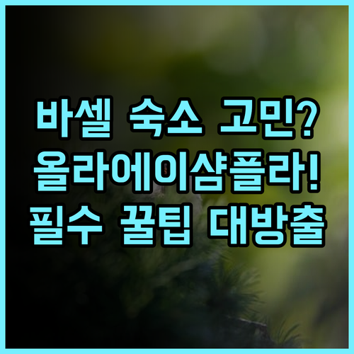 올라 에이샴플라 실제 이용후기 바르셀로나 숙소 팁 정리