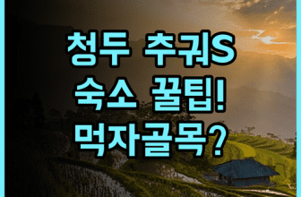 청두 추궈S 호텔 숙소 팁 및 솔직 후기, 먹자골목 근처 편리한 여행을 위한 추천