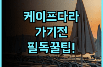 케이프 다라 리조트 실제 이용후기 및 예약 팁 총정리해보니