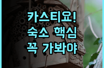 호텔 카스티요 올라베리아 추천 이유와 여행 숙소 후기 정리