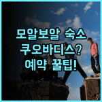 쿠오 바디스 다이브 리조트 모알보알 숙소 후기 및 예약 팁