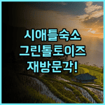 그린 톨토이즈 호스텔 시애틀 숙소 후기, 다시 방문하고 싶은 곳