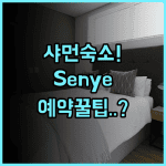 Senye Hotel 샤먼 숙소 추천, 실제 이용후기 및 예약 팁 정리