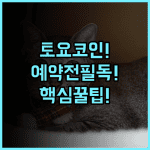 토요코 인 오키나와 나하 아사히바시 에키마에 실제 이용후기 및 예약 팁