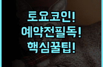 토요코 인 오키나와 나하 아사히바시 에키마에 실제 이용후기 및 예약 팁