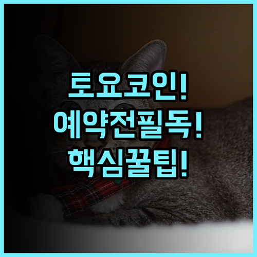 토요코 인 오키나와 나하 아사히바시 에키마에 실제 이용후기 및 예약 팁