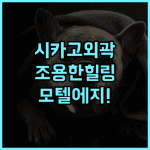 모텔 에지브룩 시카고 숙소 후기, 조용한 외곽에서 보낸 힐링 일상