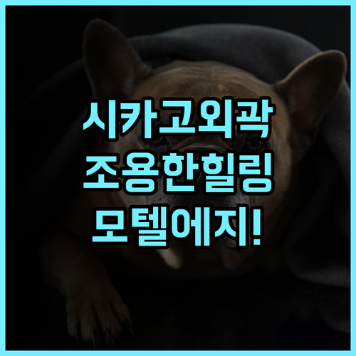 모텔 에지브룩 시카고 숙소 후기, 조용한 외곽에서 보낸 힐링 일상