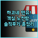 하코네 코와키엔 텐유 숙소 후기 객실 노천탕 추천 총정리