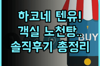 하코네 코와키엔 텐유 숙소 후기 객실 노천탕 추천 총정리