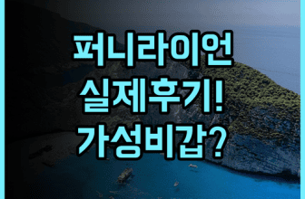 더 퍼니 라이언 푸에르토 프린세사 실제 이용후기, 푸에르토 프린세사 추천 숙소