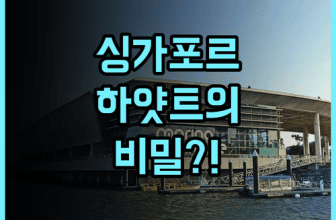그랜드 하얏트 싱가포르 숙소 후기 및 오차드 로드 추천 호텔 총정리