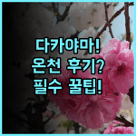 히다 다카야마 온센 다카야마 그린 호텔 실제 이용후기 숙소 팁