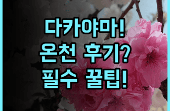히다 다카야마 온센 다카야마 그린 호텔 실제 이용후기 숙소 팁