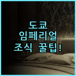임페리얼 호텔 도쿄 숙소 후기 위치와 다채로운 조식 이용 팁 추천