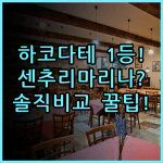 센추리 마리나 하코다테 솔직 후기 베이 에어리어 숙소 비교 추천