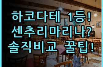 센추리 마리나 하코다테 솔직 후기 베이 에어리어 숙소 비교 추천
