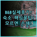 Chiu Chunt Dint B&B Inn 실제 이용후기 및 숙소 팁