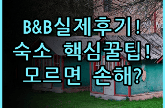 Chiu Chunt Dint B&B Inn 실제 이용후기 및 숙소 팁