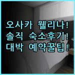 웰리나 호텔 프리미어 나카노시마 이스트 숙소 후기, 오사카 여행 예약 팁