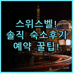 그랜드 스위스-벨호텔 달모 숙소 후기 및 알찬 예약 팁 총정리