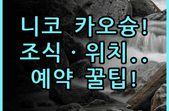 호텔 니코 카오슝 솔직 후기 위치와 조식부터 예약 팁까지 총정리