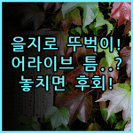 호텔어라이브 을지로 틈 실제 이용후기, 서울 뚜벅이 숙소 추천