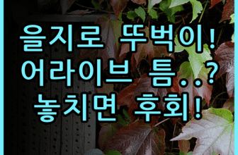 호텔어라이브 을지로 틈 실제 이용후기, 서울 뚜벅이 숙소 추천