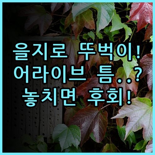 호텔어라이브 을지로 틈 실제 이용후기, 서울 뚜벅이 숙소 추천