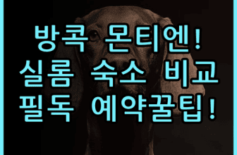 몬티엔 호텔 수라웡 방콕 숙소 후기, 실롬 중심가 숙소 비교 및 예약 팁