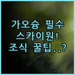 스카이원 호텔 실제 이용후기, 대만 가오슝 여행 숙소 팁과 뷔페 조식