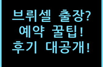 NH 콜렉션 브뤼셀 그랜드 사블론 실제 이용후기, 출장 예약 팁 정리