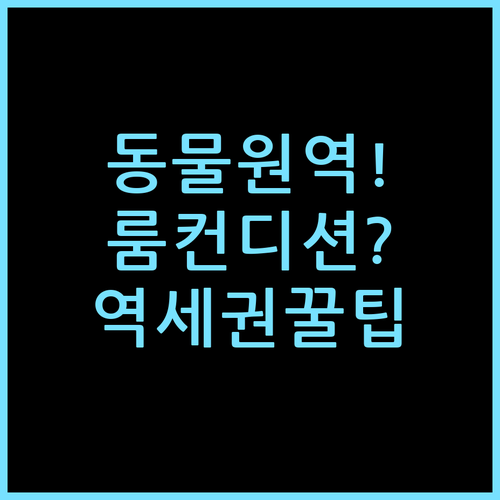 광저우 파코 호텔 동물원역, 지하철 접근성과 룸 컨디션 솔직 체감