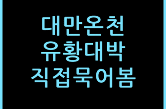 대만 베이터우 아시아 퍼시픽 호텔, 직접 묵어보고 느낀 유황 온천 실전 체감
