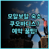 쿠오 바디스 다이브 리조트 모알보알 숙소 후기 및 예약 팁