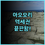 호텔 마이스테이스 아오모리 스테이션 역세권이라 이동이 편리한 숙소 추천 후기