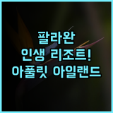 아풀릿 아일랜드 리조트 추천 팔라완 여행에서 만나는 최고의 휴양지 후기