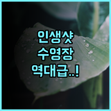 라 벨라 카오 락 후기 수영장이 매력적인 카오락 숙소 추천