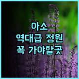 틴쿠나 아소 하쿠수이고 박물관 인근 정원 전망이 아름다운 숙소 추천 후기