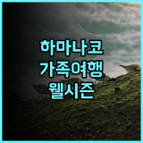 호텔 웰시즌 하마나코 추천 후기! 가족 여행객에게 완벽한 선택 가족여행 하마나코 최고의서비스