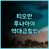 투나마야 비치 & 스파 리조트 후기 프라이빗 비치에서 즐기는 럭셔리한 티오만 섬 힐링 숙소 추천