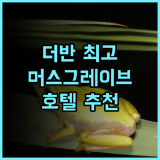 코스틀랜즈 머스그레이브 호텔 추천 후기.. 더반 최고의 서비스와 편안함을 경험하세요 더반호텔 머스그레이브 비즈니스호텔