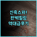 Zlatiborske terrace 즐라티보르 신축 웰니스 스파 호텔 추천 완벽한 힐링 후기