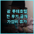 호텔 마이스테이스 가나자와 캐슬 솔직후기 가나자와 가성비 호텔! 가나자와여행 일본여행 가성비호텔