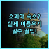 아야소피아 와일드라이프 빌라 추천 및 숙소 팁 정리