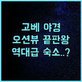 고베 메리켄 파크 오리엔탈 호텔 후기 파노라마 오션뷰와 야경이 아름다운 숙소 추천