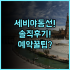 엘라야 호텔 클레베 솔직 후기, 클레베 시내 숙소 추천 및 예약 팁